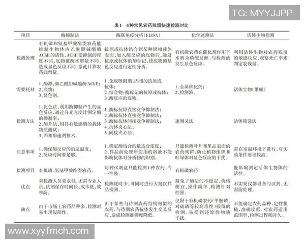 实况足球背景音乐的魅力与影响力探讨及其在游戏中的重要性分析