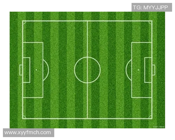 全球最大的足球场揭秘及其背后的历史与文化意义